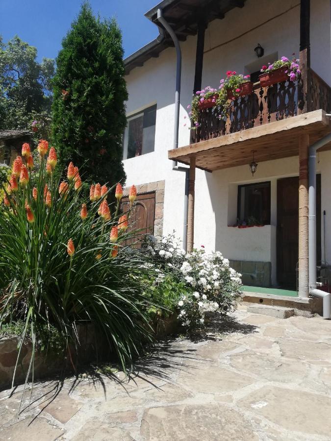 Къща За Гости Чичарите Gabrowo Exterior foto